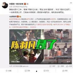 爆料蓝台遇害视频大全,惊悚事件背后的真相