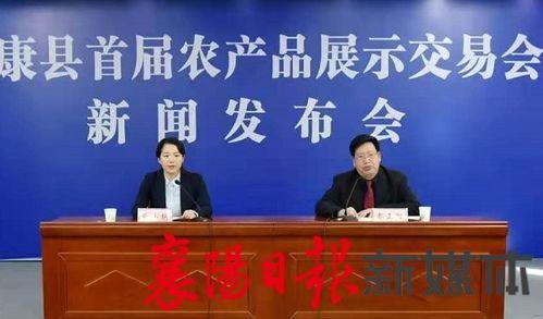 保康新闻爆料视频播放,视频爆料背后的真相与影响  第3张