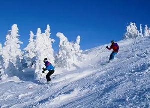 滑雪场爆料西宁最新消息,揭秘西宁冬季滑雪盛事新资讯  第2张