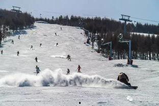 滑雪场爆料西宁最新消息,揭秘西宁冬季滑雪盛事新资讯  第3张