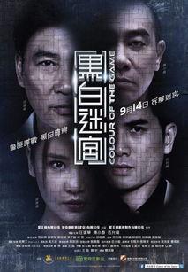 黑白迷宫在线观看,揭秘虚拟世界中的生存挑战