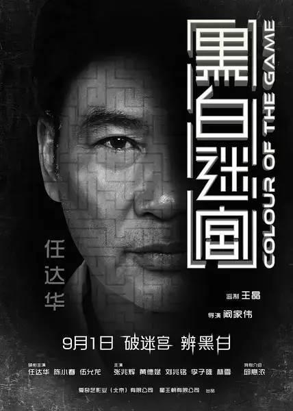 黑白迷宫在线观看,揭秘虚拟世界中的生存挑战  第2张